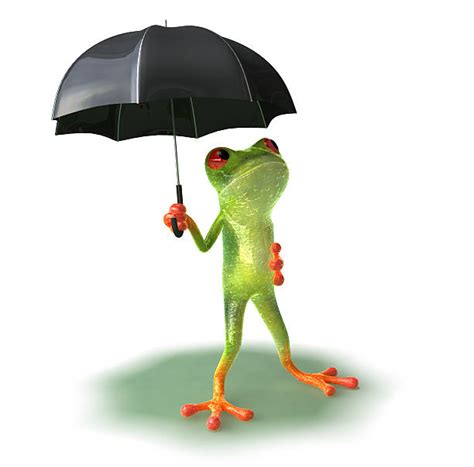 Frog With Umbrella Stock Photos Pictures And Royalty Free Images Istock