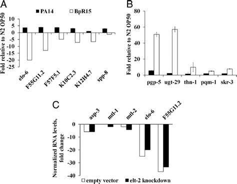 Down Regulation Of Elt 2 Transcriptional Targets By B Pseudomallei A Download Scientific