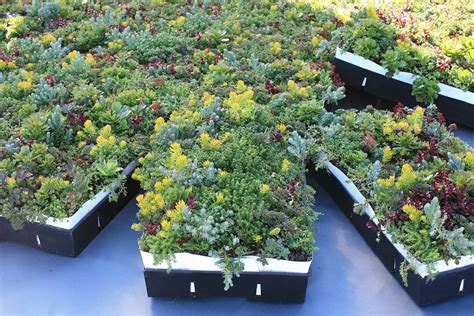 Products LiveRoof Green Roof Systems