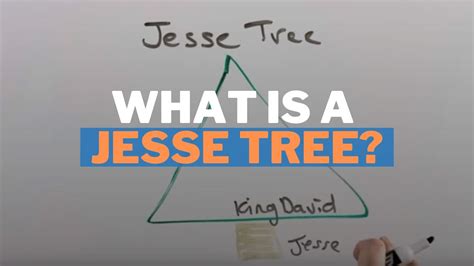 What Is A Jesse Tree Youtube