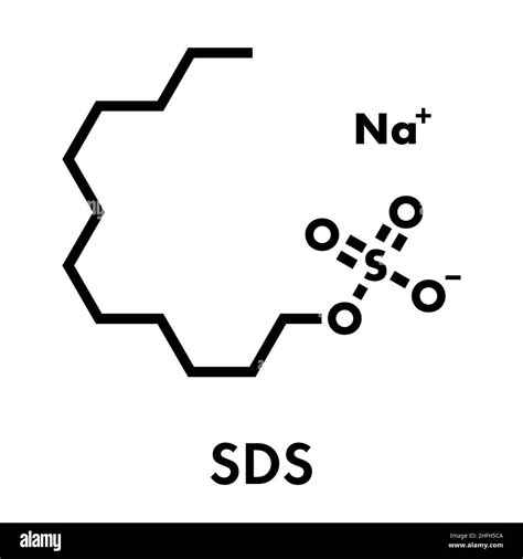 Mol Cule De Surfactant Dod Cyl Sulfate De Sodium Sds Lauryl Sulfate