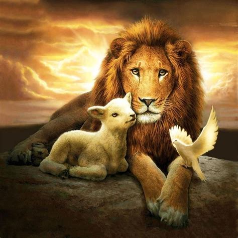 5d Diamond Painting Lion And Sheep 50x50cm Lion And Lamb Lion Of