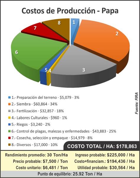 Costos de producción 2019 2020 Papa Panorama AGROPECUARIO