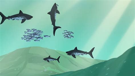 Salmon Shark Wild Kratts Species Of Sharks Shark