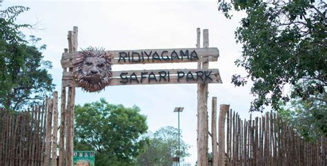 Ridiyagama Safari Park Bernard Tours Pvt Ltd