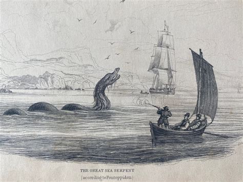 1839 The Great Sea Serpent According To Pontoppidon Original Antique