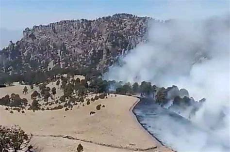 Combaten Incendio En Parque Izta Popo Van Hect Reas Quemadas