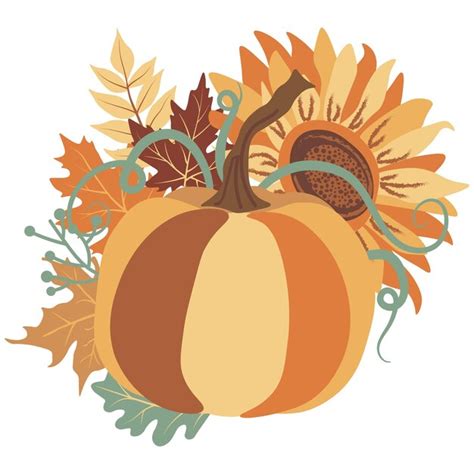 Premium Vector Autumn Pumpkins Sunflowers Compositions Isolated Vector Illustration On White