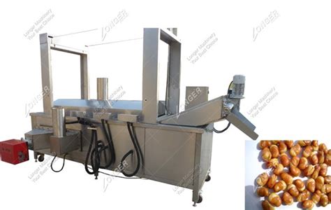 How To Choose A Continuous Fryer Machine For Sale