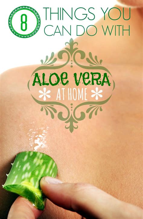 8 Things You Can Do With Aloe Vera At Home Healthamania