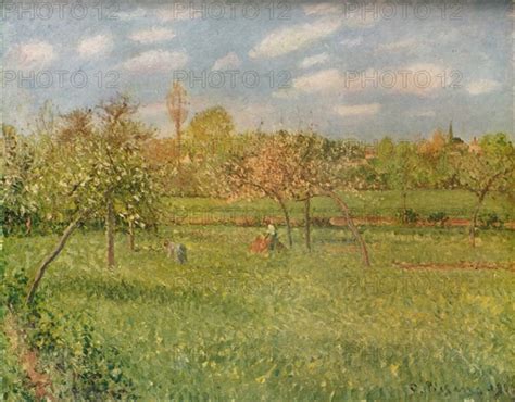 Apple Trees At Eragny Morning Sunshine C1896 Artist Camille