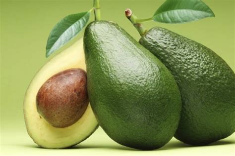 Aguacate La Fruta De Moda Para Adelgazar Saludablemente Aguacate La