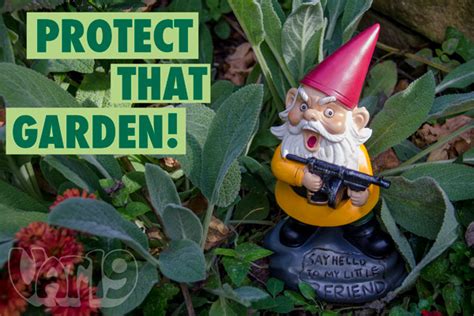 Angry Garden Gnome resting in a beautiful garden.