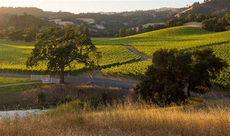Alexander Valley Winegrowers Home