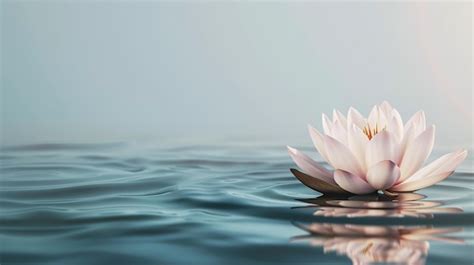 Beautiful Lotus Flower Floating On The Water In The Morning Copy Space Premium Ai Generated Image