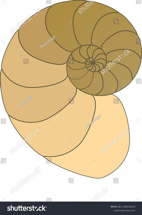 Illustration Vector Graphic Fibonacci Spiral Logo Stock Vector (Royalty ...