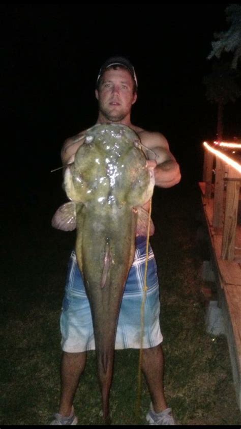 Noodling Catfish