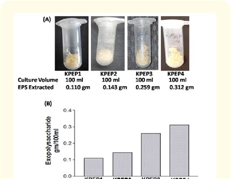 Exopolysaccharide Production By Bacterial Isolates A Representative