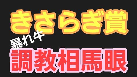 2023年【きさらぎ賞】暴れ牛の調教相馬眼 Youtube