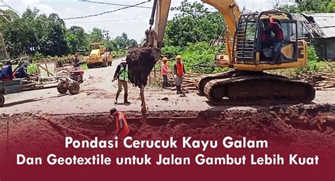 Pondasi Cerucuk Kayu Galam dan Geotextile untuk Jalan Gambut Lebih Kuat