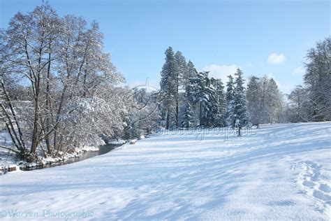 Albury Park snow scene photo - WP22662