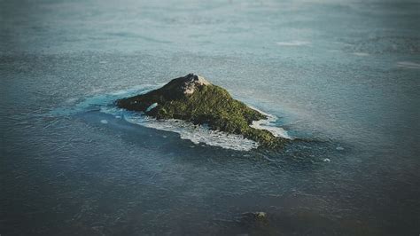 This Mossy Rock Looks Like A Tropical Island Mildlyinteresting