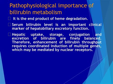 Ppt Bilirubin Metabolism And Jaundice Powerpoint Presentation Free