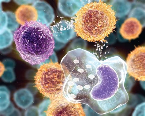 Cytokines And Cytokine Information Sino Biological