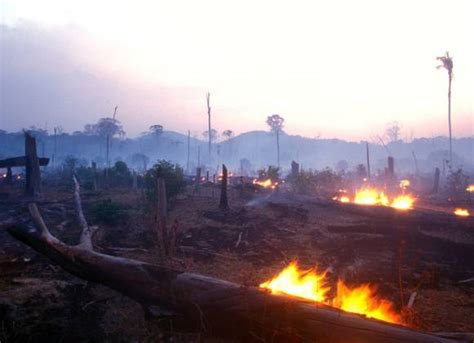 Jair Bolsonaro Ordena A Fuerzas Armadas Combatir Incendios En Amazonas