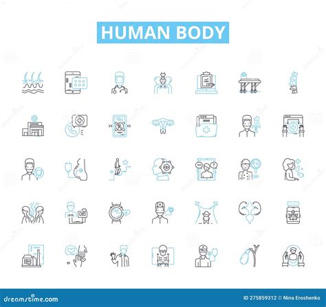 Human Body Linear Icons Set Anatomy Physiology Organs Muscles