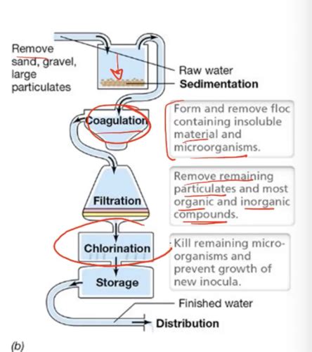 Applied Environmental Microbiology Flashcards Quizlet