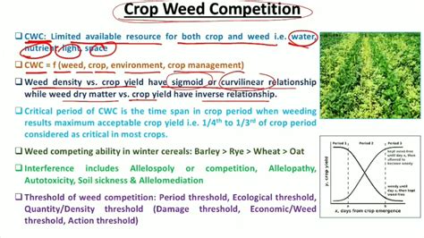 Crop Weed Competition Weed Management CWC Cropweedcompetition YouTube