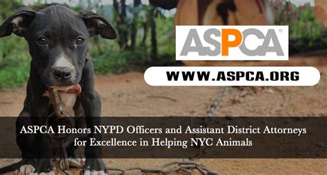 Aspca Honors Nypd Officers And Assistant District Attorneys For