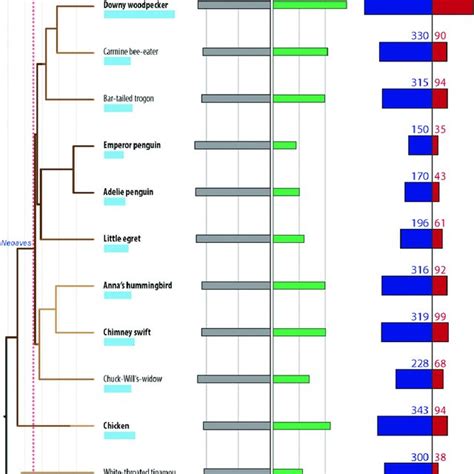 Genome Size Variation In Amniotes Cytological Haploid Genome Size