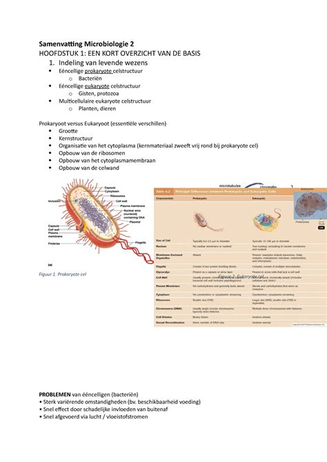 Samenvatting Microbiologie 2 Theorie Samenvatting Microbiologie 2