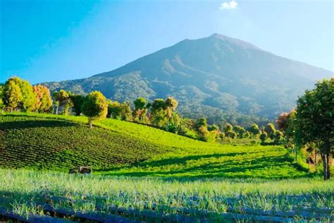 Taman Nasional Di Indonesia Menelusuri Keindahan Alam Dan