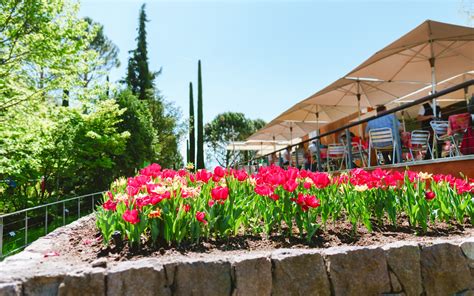 Schlossgarten Restaurant