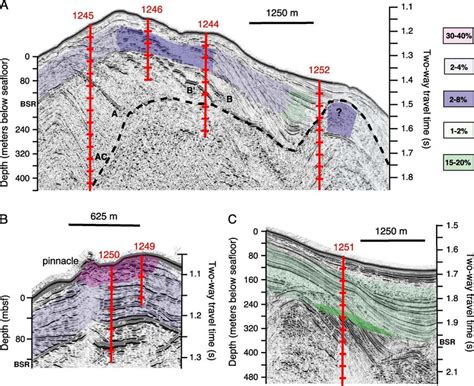 Profiles Extracted From The 3D Seismic Data Along The Lines Shown In