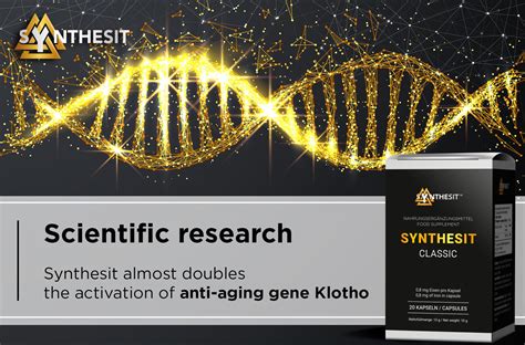 Synthesit Almost Doubles The Activation Of Anti Aging Gene Klotho