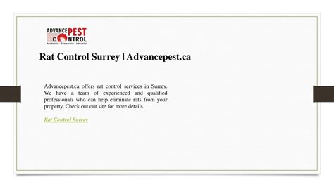 Ppt Rat Control Surrey Advancepestca Powerpoint Presentation Free Download Id12358546