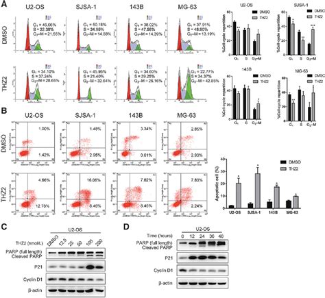 Figure 1 From Targeting Super Enhancerassociated Oncogenes In