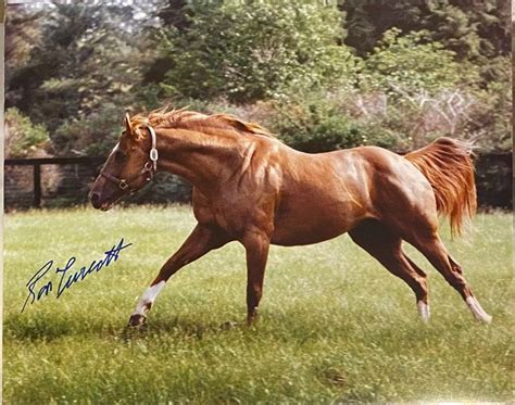 Secretariat Photograph Hand Signed By Ron Turcotte Hall Of Fame Rider