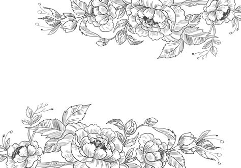 Hand Drawn Flower Border Design | Best Flower Site