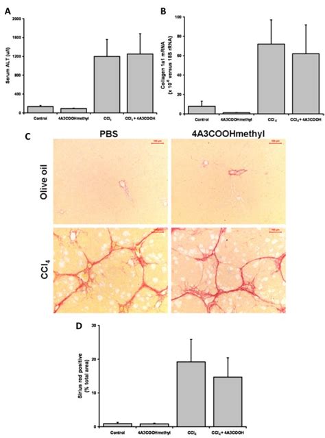 4a3coohmethyl Administration And Liver Fibrosis In A Rat Ccl4 Model Of