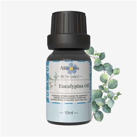 Buy 100 Pure Eucalyptus Essential Oil Online Dazze And Blussh