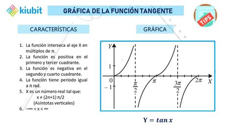 Gráfica De La Función Tangente Apuntes De Clase Funciones Trigonométricas Trigonometria