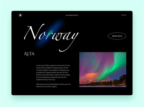 Aurora Borealis Tours Website Page by KaRa Sotskaya on Dribbble