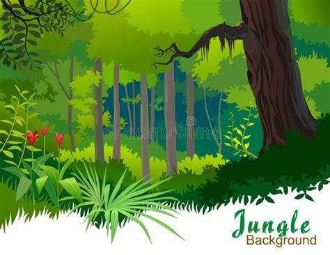 Amazon Jungle Trees and Wilderness Stock Vector - Illustration of cloud ...