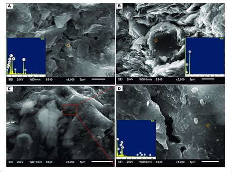 Microscopic Minerals And Diagenetic Characteristics Of The Longmaxi