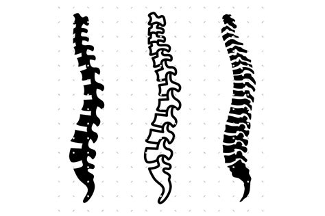 Spine SVG Graphic By CrafterOks Creative Fabrica